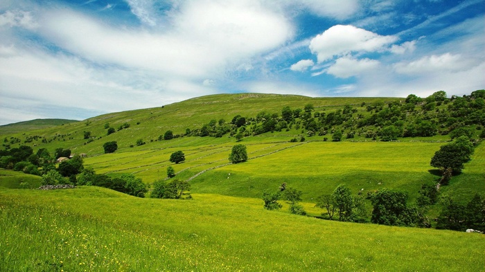 Green rolling hills under a blue sky with clouds