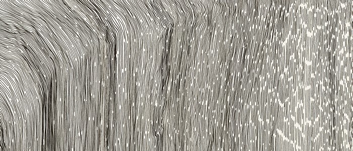 Abstract ink drawing with flowing lines
