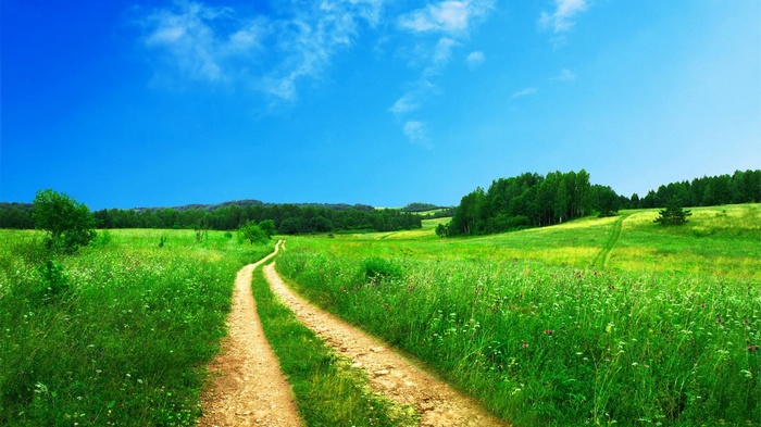 Dirt road through a green meadow under a blue sky