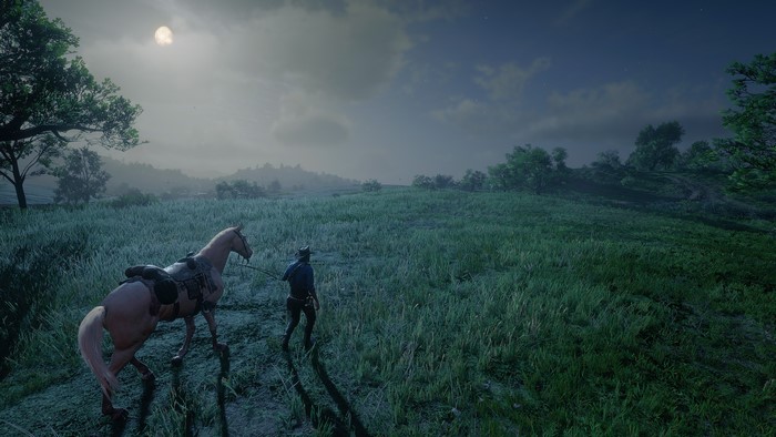 Red Dead Redemption 2
