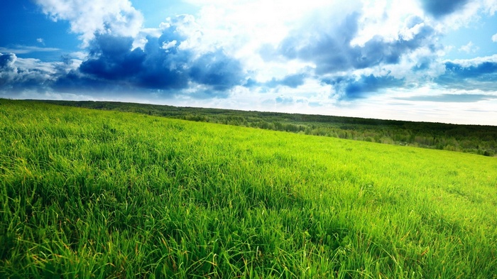 Green grassy hill under a cloudy blue sky