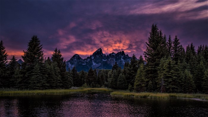 4K landscape sunset forest nature