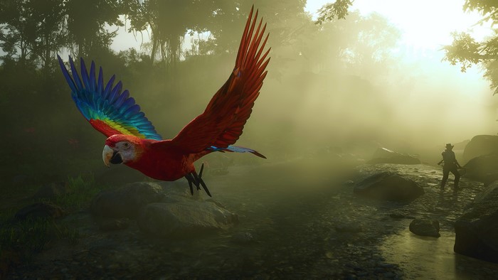 Red Dead Redemption 2 Parrot and Cowboy