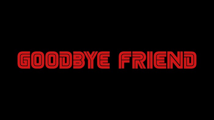 Goodbye Friend from Mr. Robot