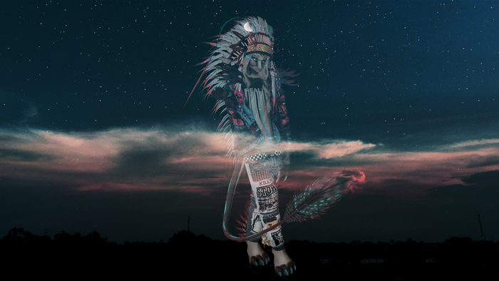 Furry character in headdress under starry sky