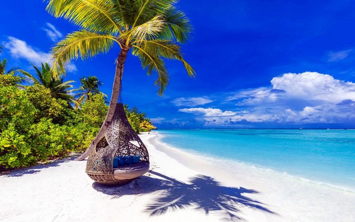 Tropical beach with palm tree and hanging chair