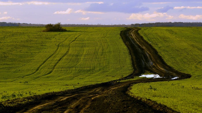 Dirt road through a green field under a cloudy sky