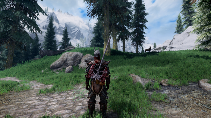 Character from The Elder Scrolls V: Skyrim Remastered