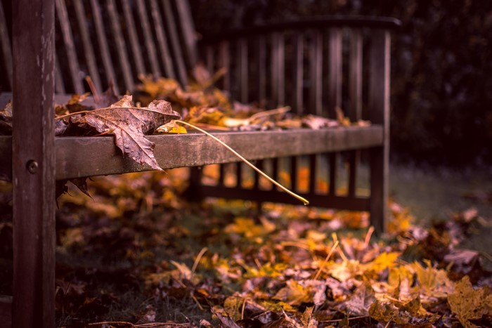 Autumn leaves on a wooden park bench