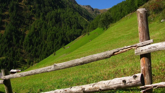 Wooden fence in a green mountain meadow