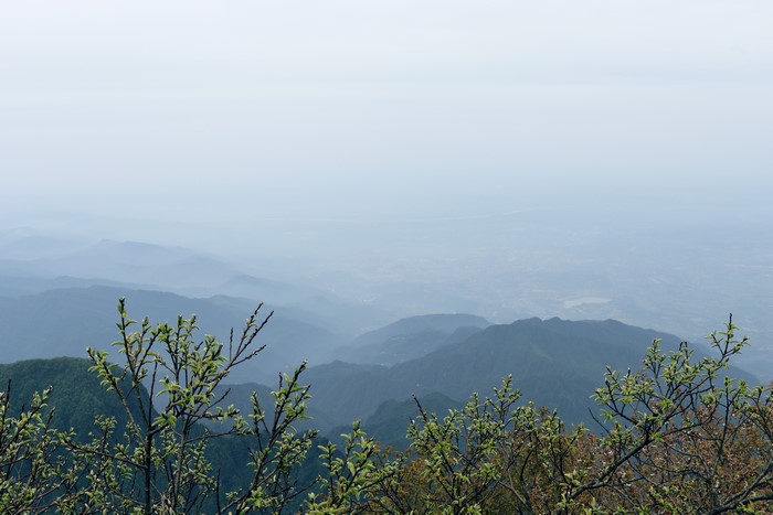 4K Sichuan mountain landscape with plants