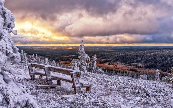 Snow-covered bench overlooking a winter forest landscape in Finland
