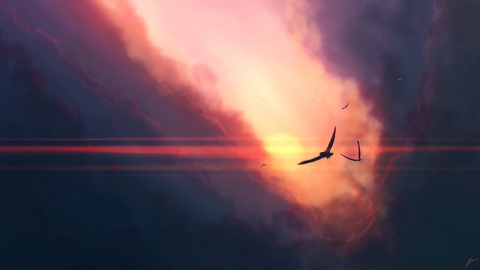 Birds flying at sunset with clouds