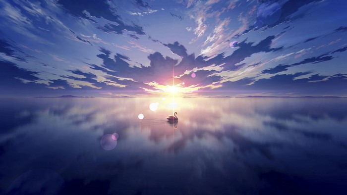 Swan on calm water at sunset with clouds