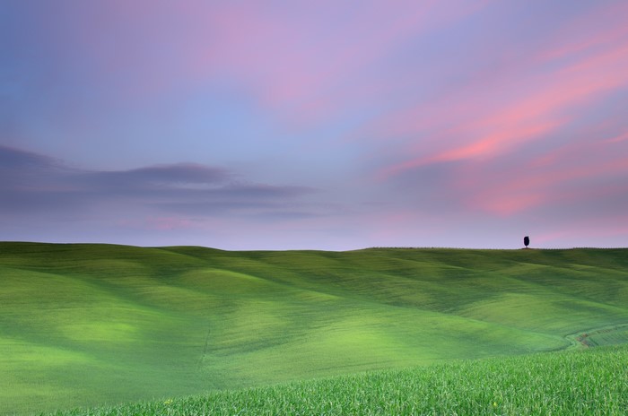 Green rolling hills under a pink and purple sky