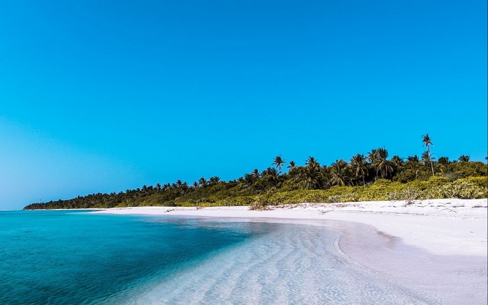 Tropical beach with palm trees and clear blue water