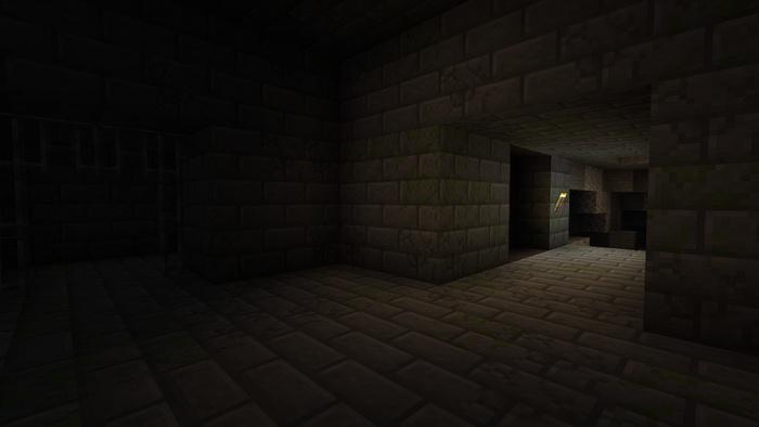Minecraft dungeon interior with stone bricks and torch