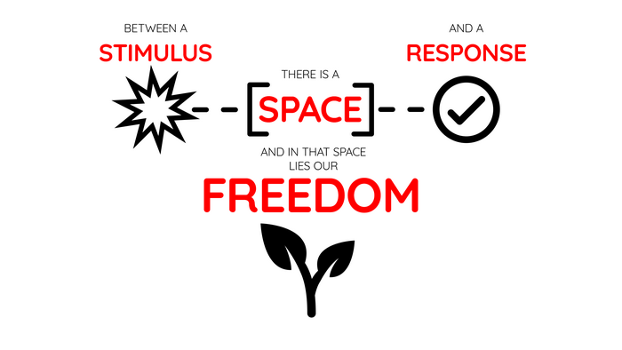 Stimulus, Space, Response, and Freedom