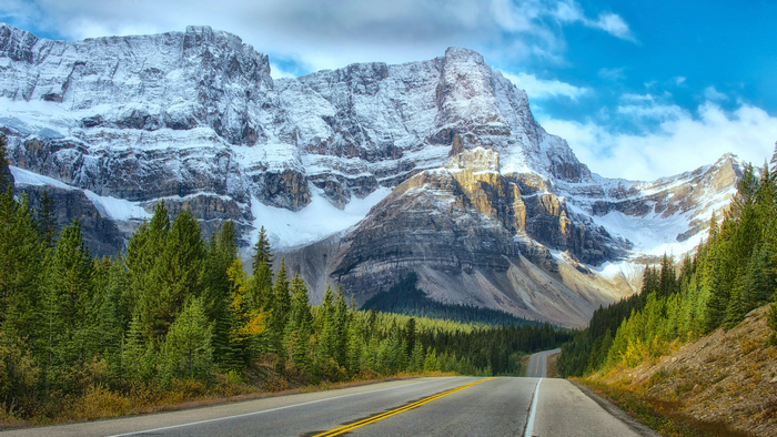 Snowy Mountains and Forest Road in Banff, Canada