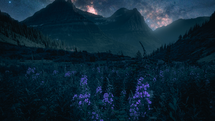 Mountains and flowers under the starry night sky