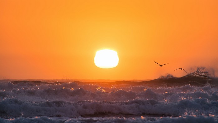 Sunset over ocean with birds and waves