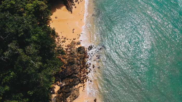 Aerial view of a tropical beach with lush trees and turquoise water