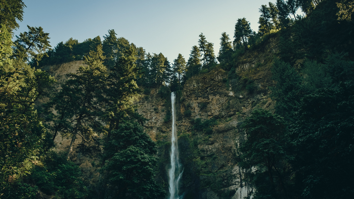 Multnomah Falls waterfall in Oregon surrounded by trees