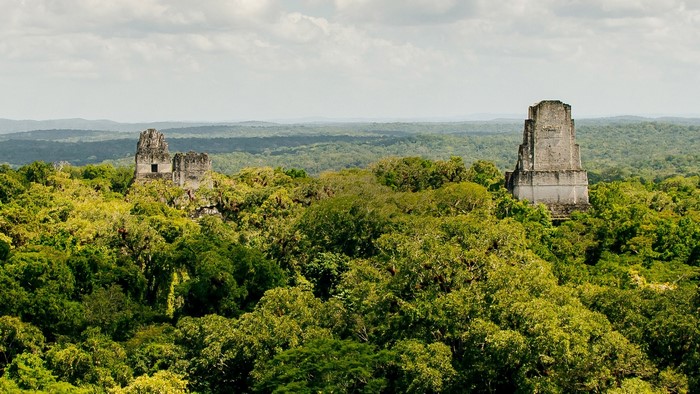 Ancient Maya ruins of Tikal in Guatemala rainforest