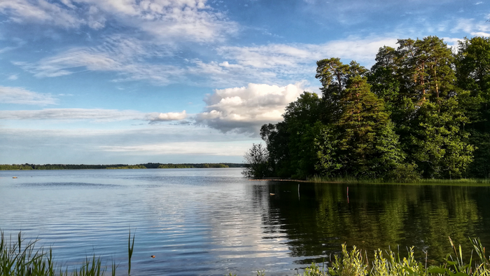 Lake and forest landscape with clouds in Sweden