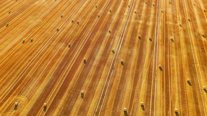 Aerial view of a harvested field with hay bales in Lithuania