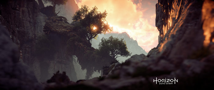 Horizon Zero Dawn video game landscape