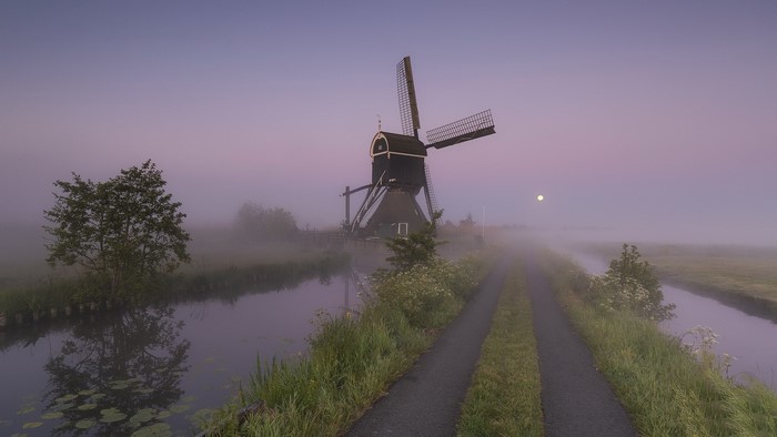 Windmill in the Netherlands at dawn with fog