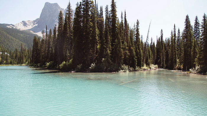 Emerald Lake landscape with mountains and forest in Banff