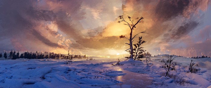Snowy landscape with trees at sunset