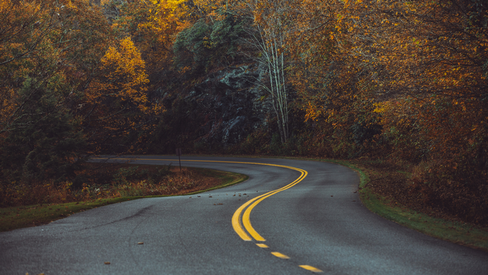 Winding road through autumn forest