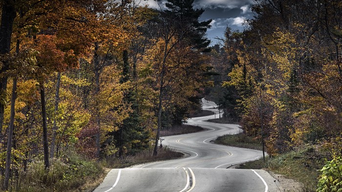 Winding road through autumn forest