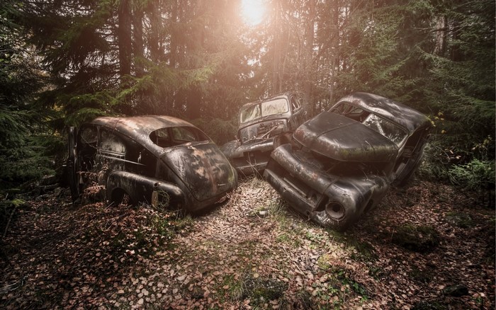 Three abandoned cars in a forest