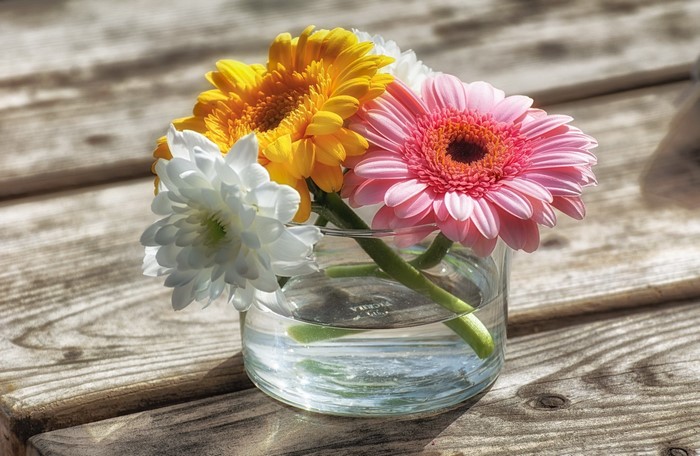 Colorful gerbera daisies and chrysanthemum in a glass vase