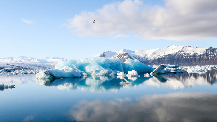 Icebergs floating in glacial lagoon with snow-capped mountains in Iceland