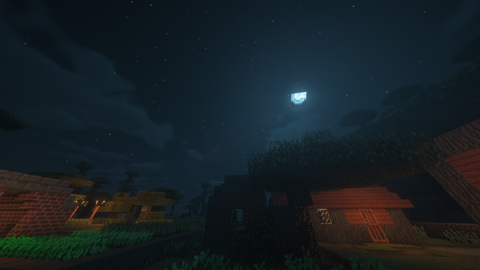 Minecraft village at night with moon and stars