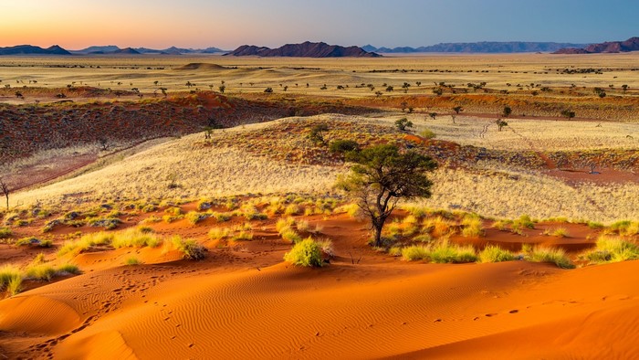 Namibian desert landscape with dunes, trees, and mountains at sunset