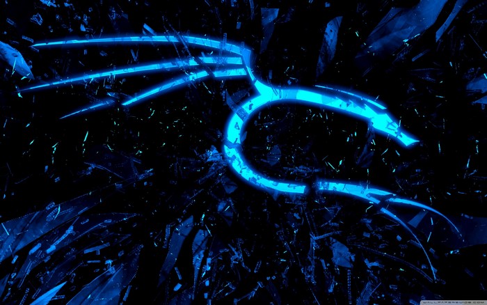 Blue Kali Linux Dragon Glass Tech