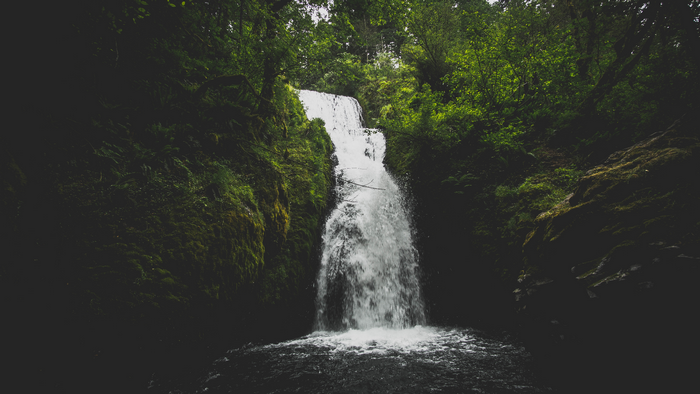 Waterfall in a lush green forest in the USA