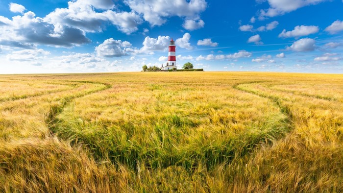 Red and white lighthouse in a golden wheat field under a blue sky