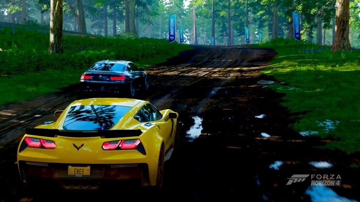 Yellow Corvette and BMW in Forza Horizon 4