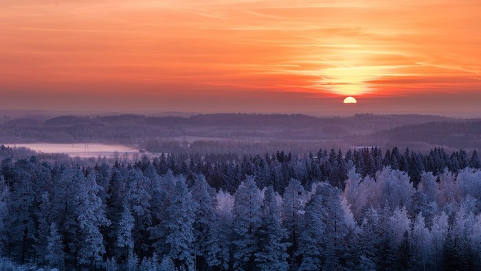 Winter sunset over a frosted forest landscape in Finland