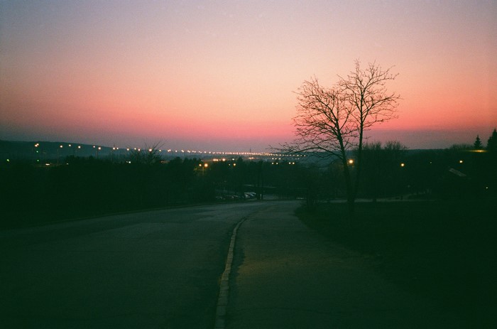Road at dusk with distant city lights and bare tree
