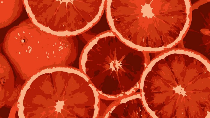 Painting of sliced blood oranges