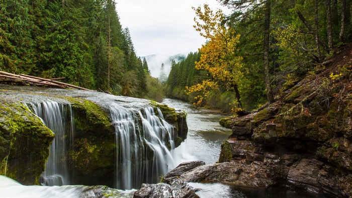 Lewis River waterfall in Washington state forest