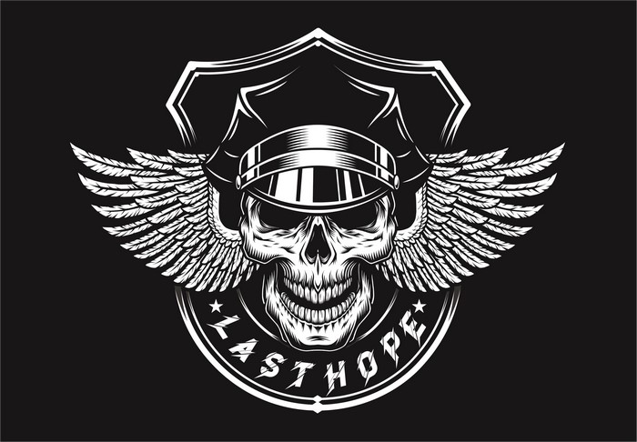 Skull with wings and shield logo